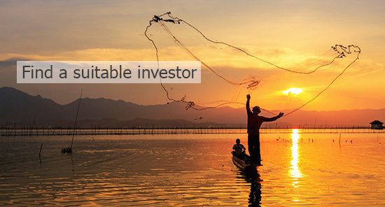 Find a suitable investor